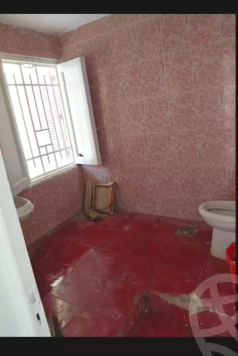 https://aqarmap.com.eg/en/listing/6930201-for-rent-cairo-el-agouza-shaheen-st