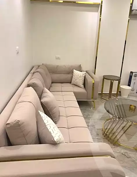 https://aqarmap.com.eg/ar/listing/6931429-for-rent-cairo-nasr-city-abbas-el-akkad