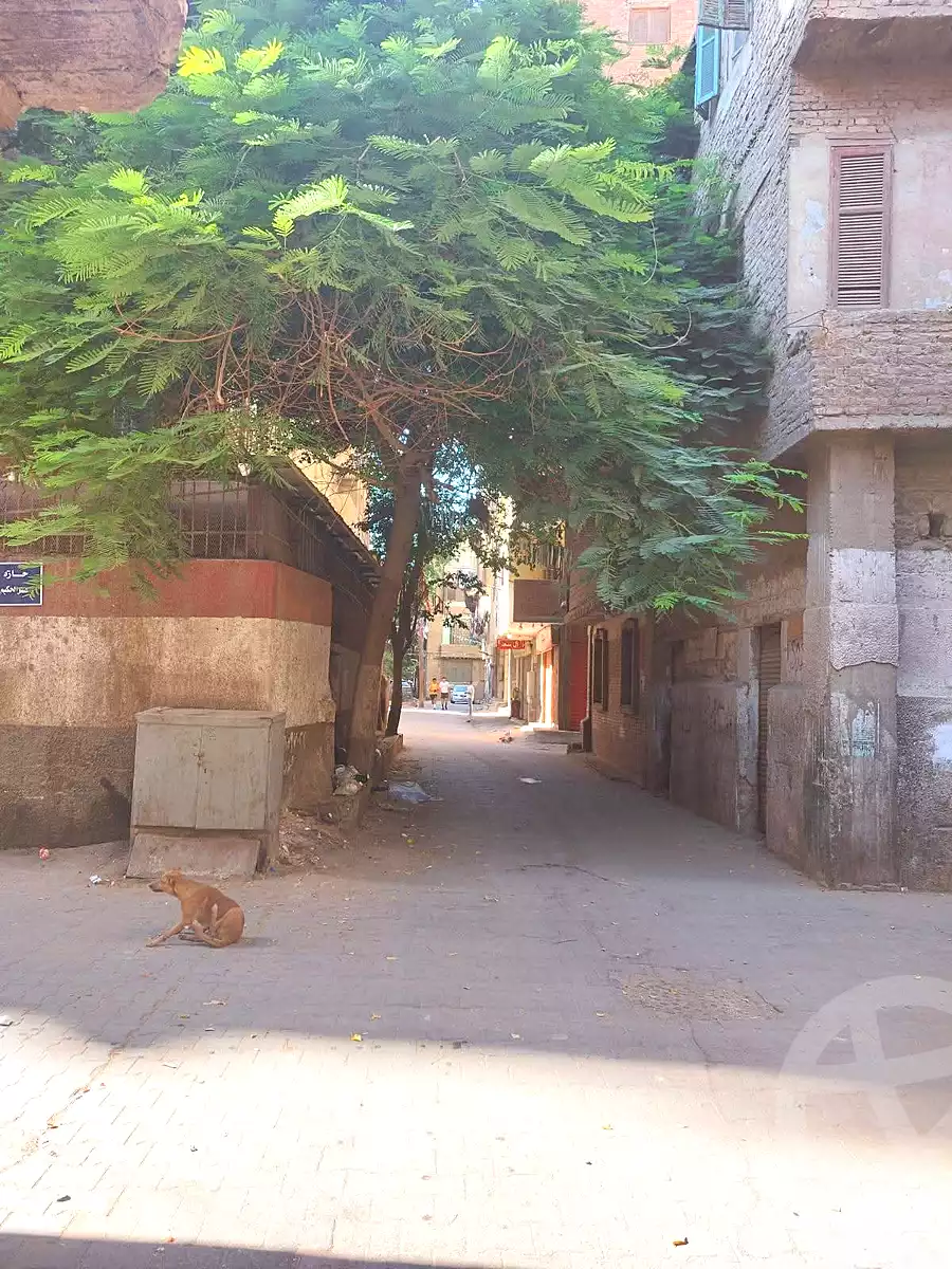 https://aqarmap.com.eg/en/listing/6936547-for-sale-cairo-ljyz