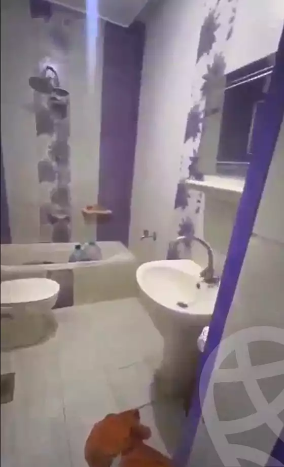https://aqarmap.com.eg/en/listing/6937771-for-rent-alexandria-al-agamy-lbytsh