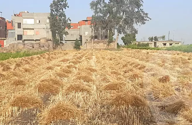 https://aqarmap.com.eg/ar/listing/6937838-for-sale-dakahlia-mansoura-el-mansoura-city
