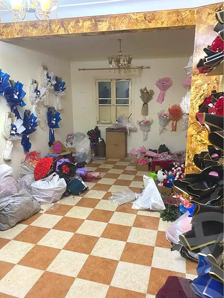 https://aqarmap.com.eg/ar/listing/6939517-for-rent-alexandria-ganaklis