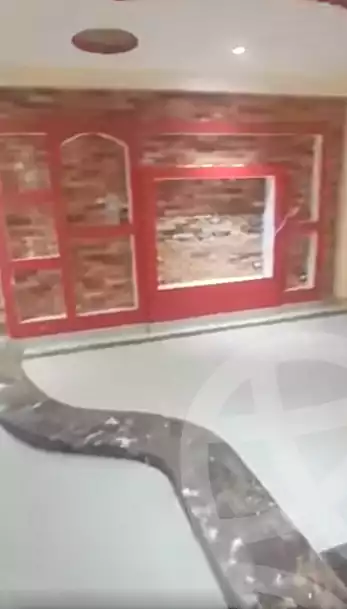 https://aqarmap.com.eg/ar/listing/6942626-for-sale-cairo-nozha-2-el-khamseen-st