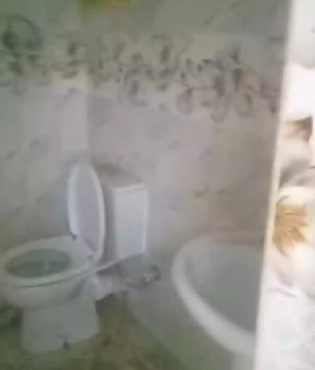 https://aqarmap.com.eg/en/listing/6947328-for-rent-qalyubia-shubra-el-khaima-om-bayoumi