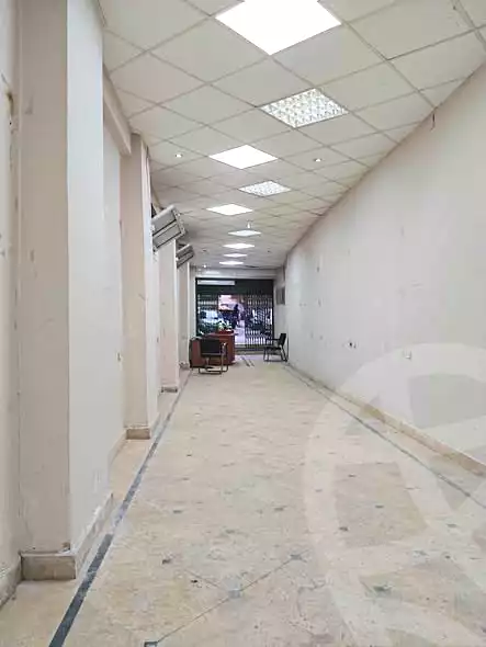 https://aqarmap.com.eg/en/listing/6950993-for-rent-alexandria-miami