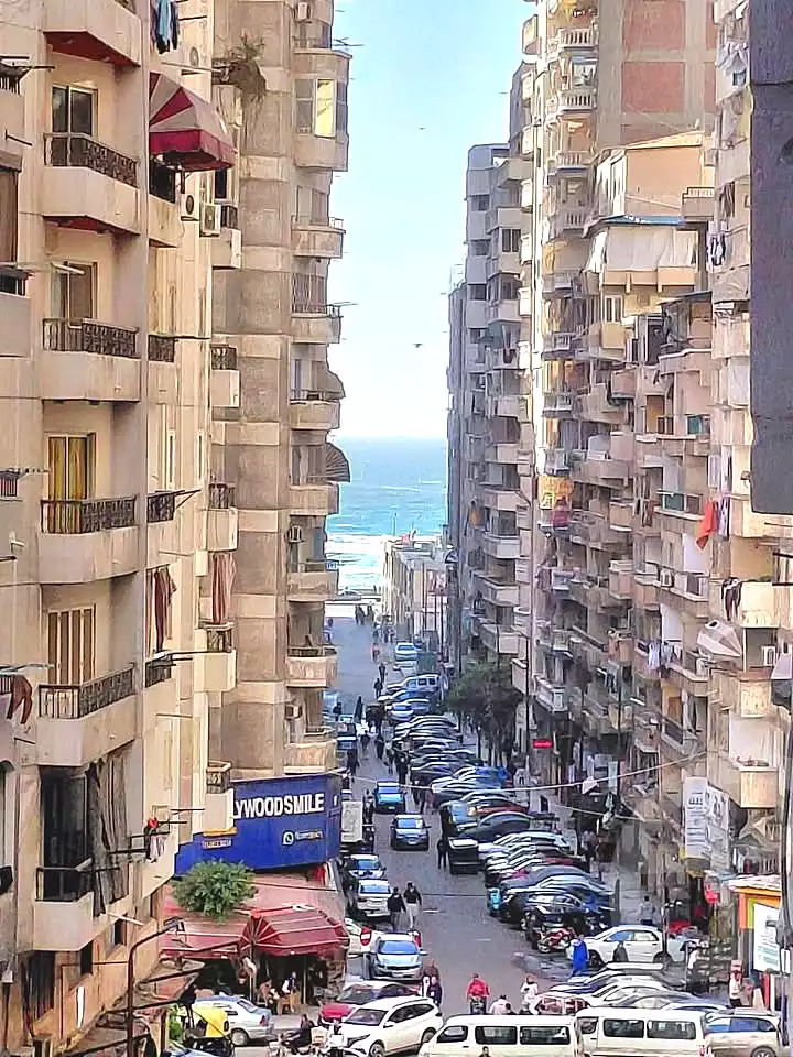 https://aqarmap.com.eg/en/listing/6952118-for-sale-alexandria-el-asafra-salman-el-farsi-st