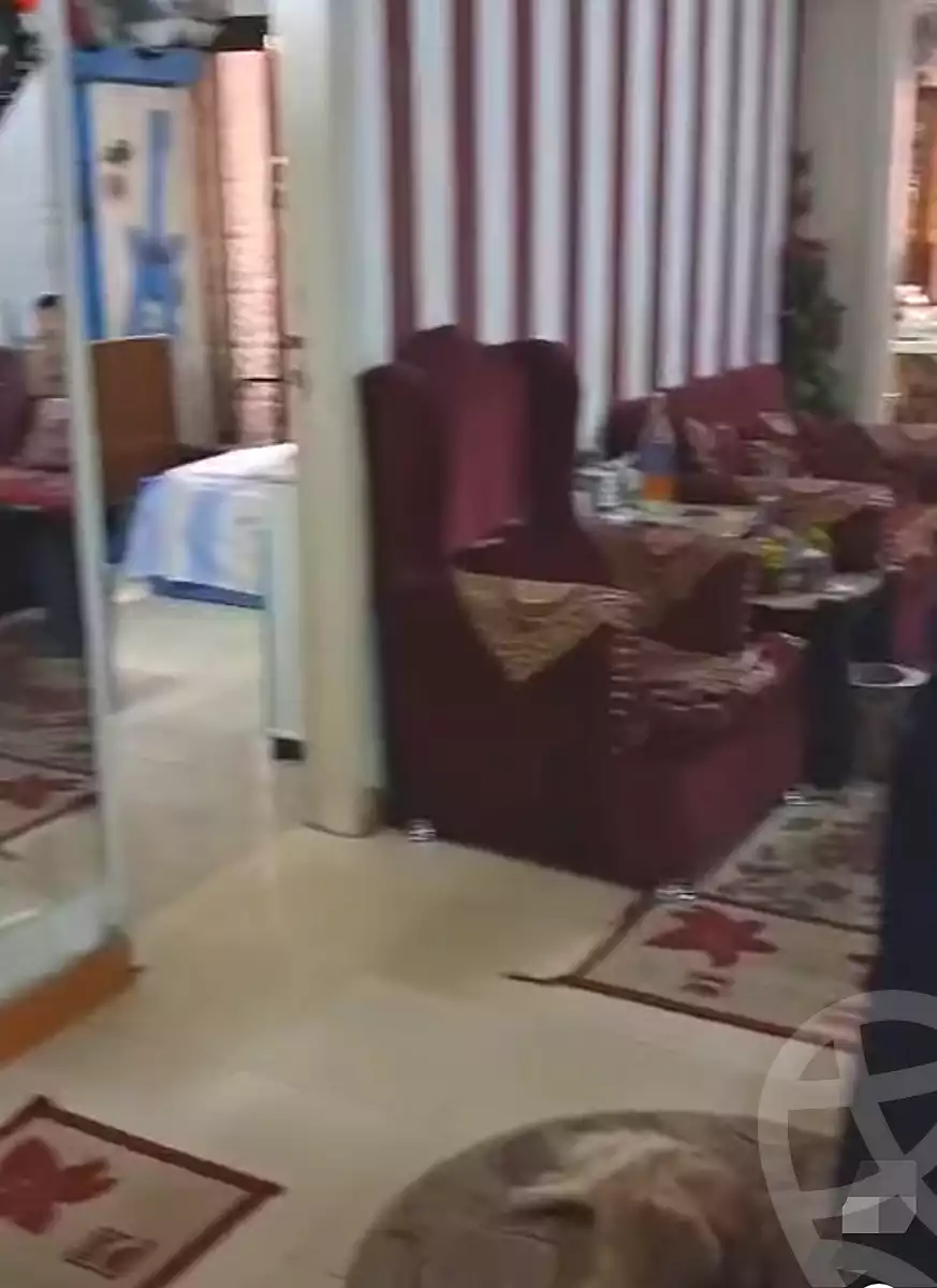 https://aqarmap.com.eg/en/listing/6952840-for-sale-cairo-ain-shams-el-naam-wafik-abbas-st