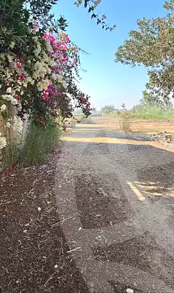 https://aqarmap.com.eg/ar/listing/6954040-for-sale-el-fayoum-yousef-el-sedeeq-karoun