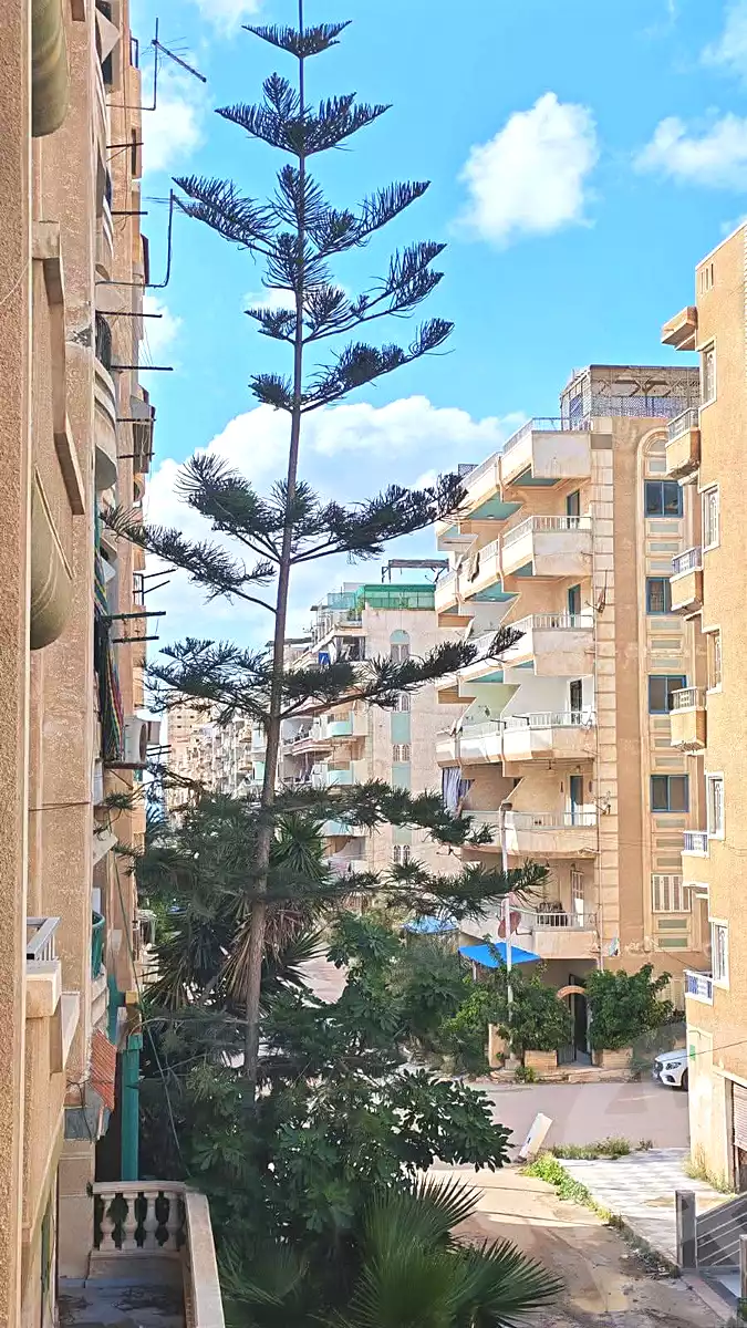 https://aqarmap.com.eg/en/listing/6954322-for-sale-alexandria-al-agamy-shataa-el-nakheel