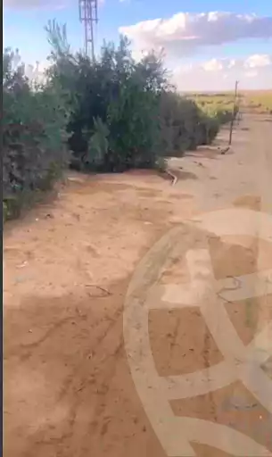 https://aqarmap.com.eg/ar/listing/6955906-for-sale-el-minia-beni-mazar