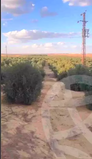 https://aqarmap.com.eg/ar/listing/6955906-for-sale-el-minia-beni-mazar