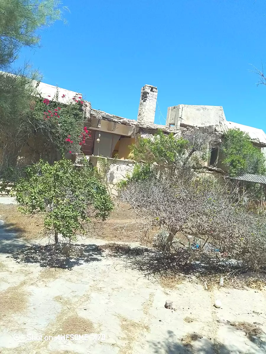 https://aqarmap.com.eg/en/listing/6955989-for-sale-alexandria-al-agamy-bw-ywsf