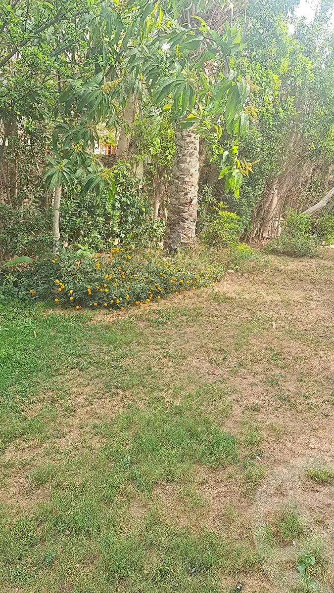 فيلا بـ٤ غرف نوم في جرينز، صورة ٦ من ١١