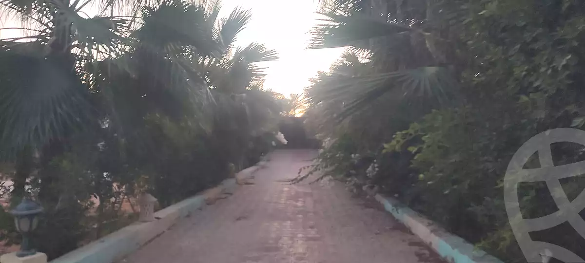 https://aqarmap.com.eg/ar/listing/6959847-for-rent-alexandria-borg-el-arab-el-bahira-st