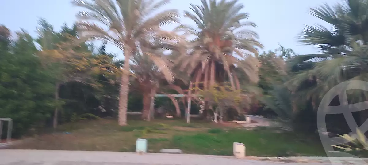 https://aqarmap.com.eg/ar/listing/6959847-for-rent-alexandria-borg-el-arab-el-bahira-st