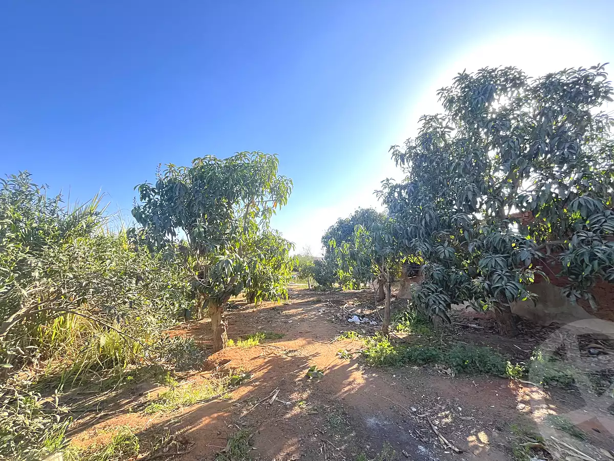 https://aqarmap.com.eg/ar/listing/6959909-for-sale-ismailia-tall-el-kebir