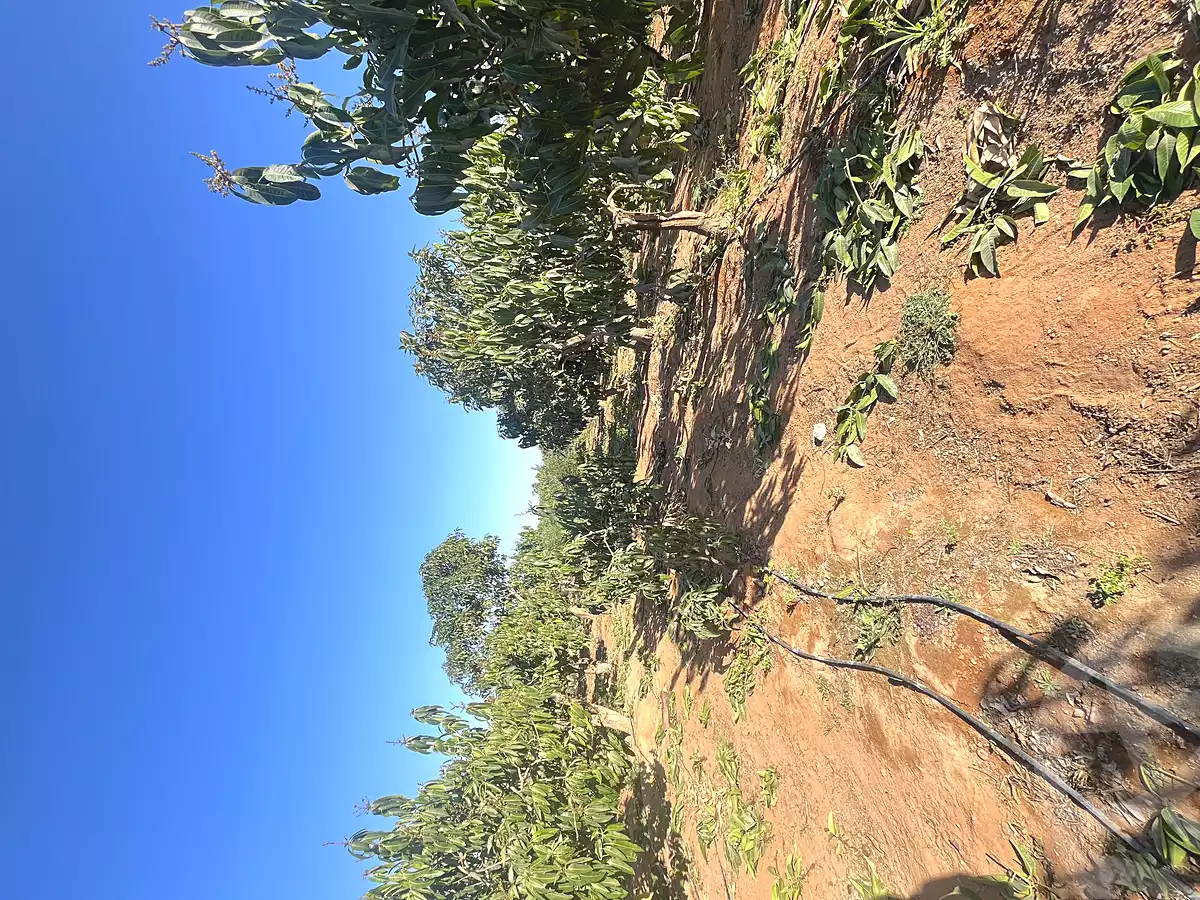 https://aqarmap.com.eg/ar/listing/6959909-for-sale-ismailia-tall-el-kebir