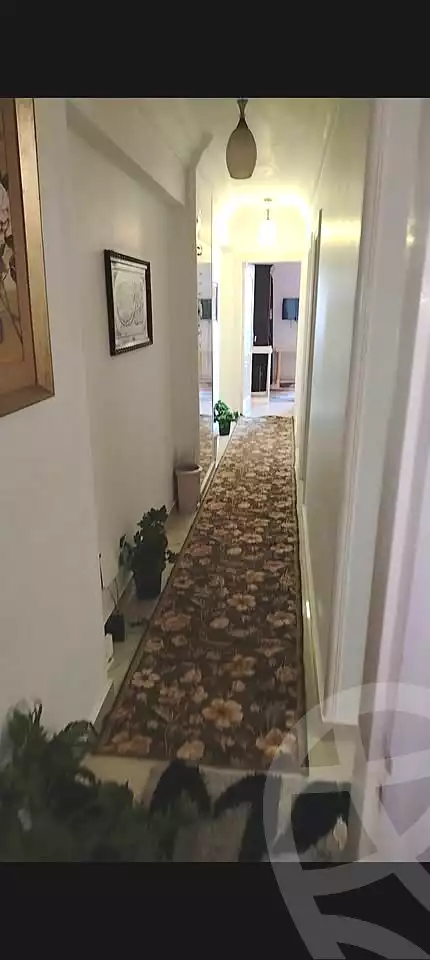 https://aqarmap.com.eg/en/listing/6959930-for-sale-alexandria-el-mandara-tryq-ljysh