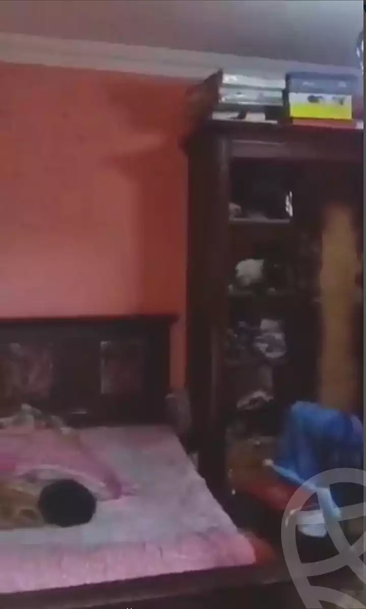 https://aqarmap.com.eg/en/listing/6960712-for-sale-cairo-faisal