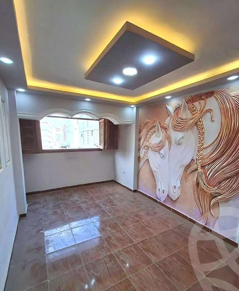 https://aqarmap.com.eg/en/listing/6960984-for-sale-alexandria-lsywf-shamaa