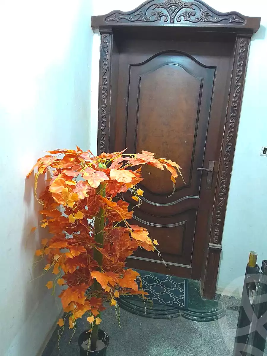 https://aqarmap.com.eg/en/listing/6960990-for-sale-cairo-faisal-tareeq-kaabesh
