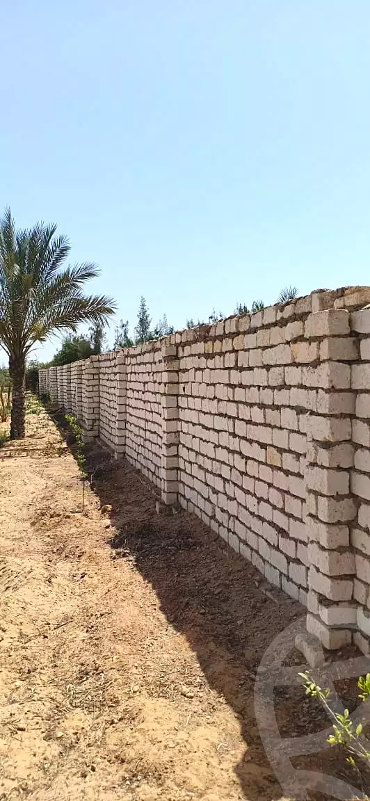 https://aqarmap.com.eg/en/listing/6962352-for-sale-ismailia-fayed-al-sawhel-st