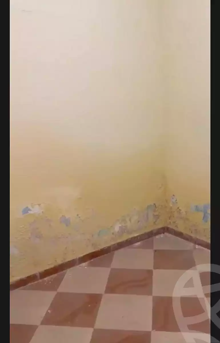 https://aqarmap.com.eg/en/listing/6962381-for-sale-qalyubia-shubra-el-khaima-om-bayoumi