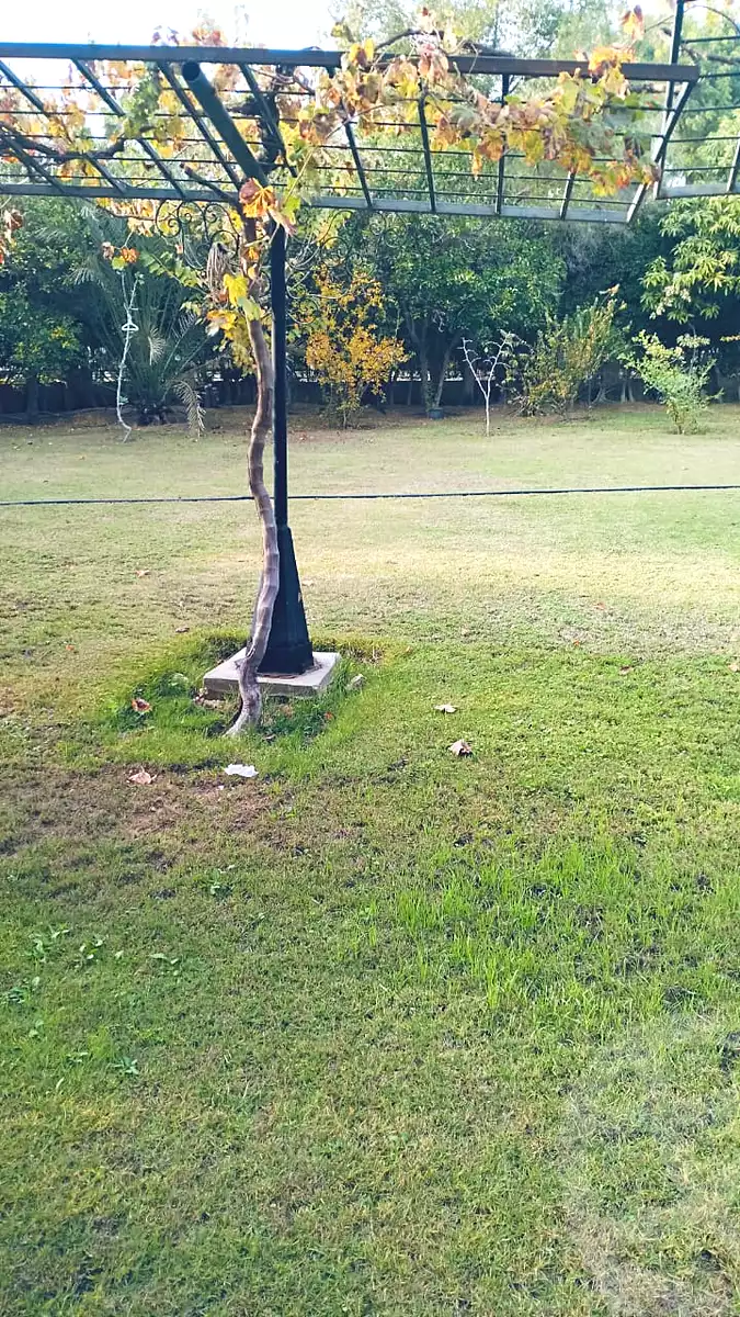 فيلا بـ٦ غرف نوم في الربوة، صورة ٧ من ٢٢