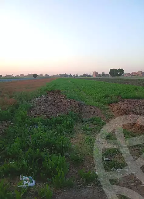 https://aqarmap.com.eg/ar/listing/6965783-for-sale-cairo-bashtil
