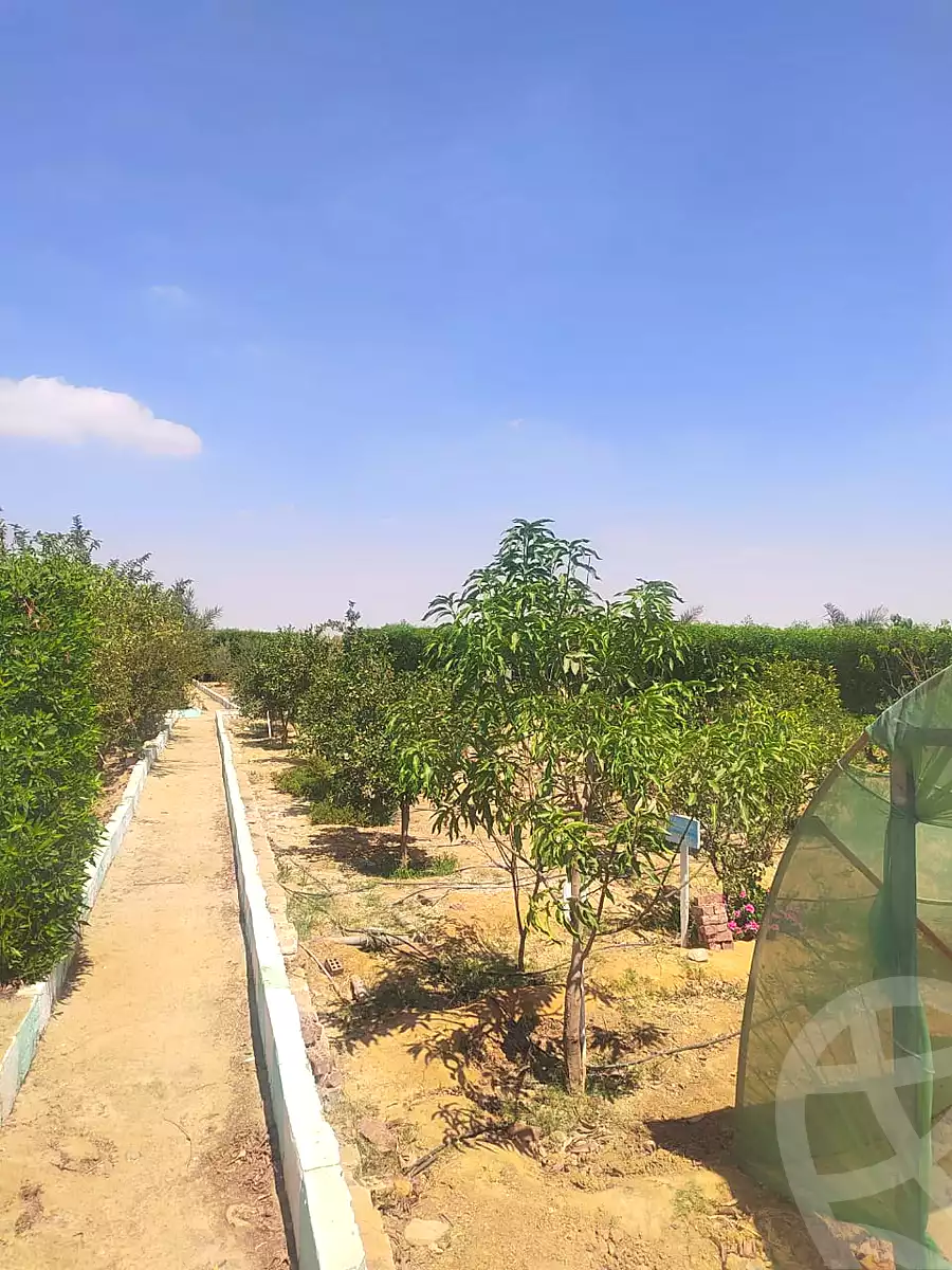 https://aqarmap.com.eg/ar/listing/6968756-for-sale-asyut-asyut-city-al-zeraieen-st