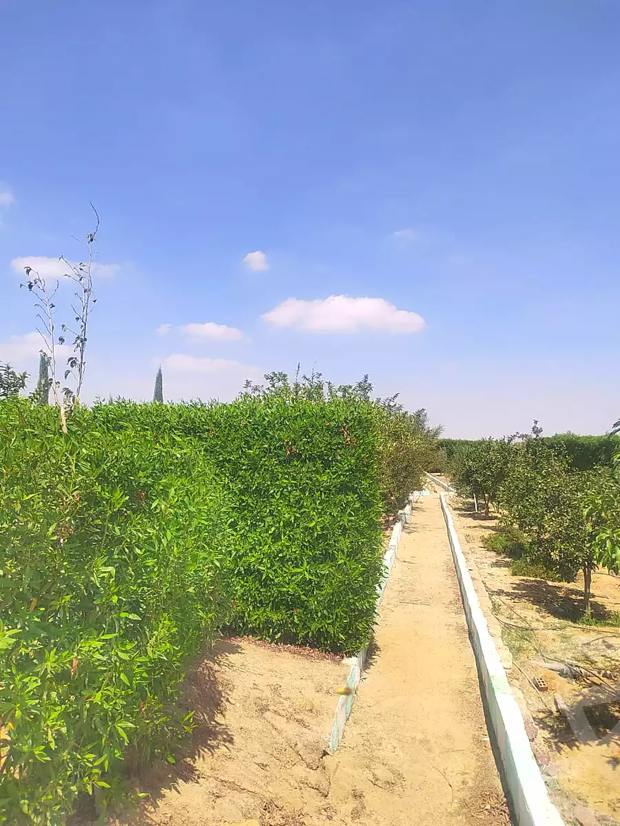 https://aqarmap.com.eg/ar/listing/6968756-for-sale-asyut-asyut-city-al-zeraieen-st