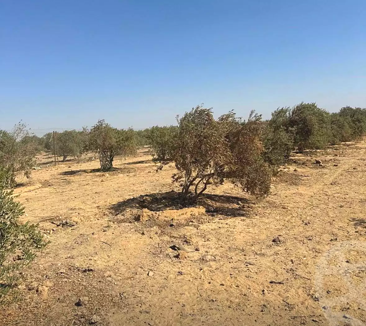 https://aqarmap.com.eg/en/listing/6968886-for-sale-el-fayoum-asyut-rd