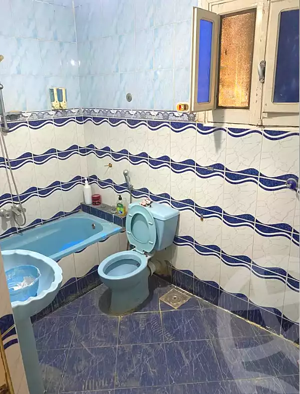 https://aqarmap.com.eg/en/listing/6969943-for-sale-alexandria-ganaklis