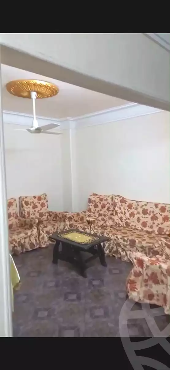 https://aqarmap.com.eg/en/listing/6974419-for-rent-cairo-shoubra-jzyr-bdrn