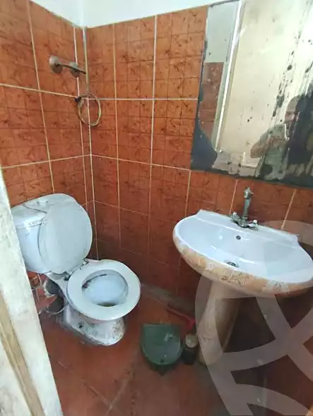 https://aqarmap.com.eg/en/listing/6974949-for-rent-cairo-el-haram-shareaa-el-haram