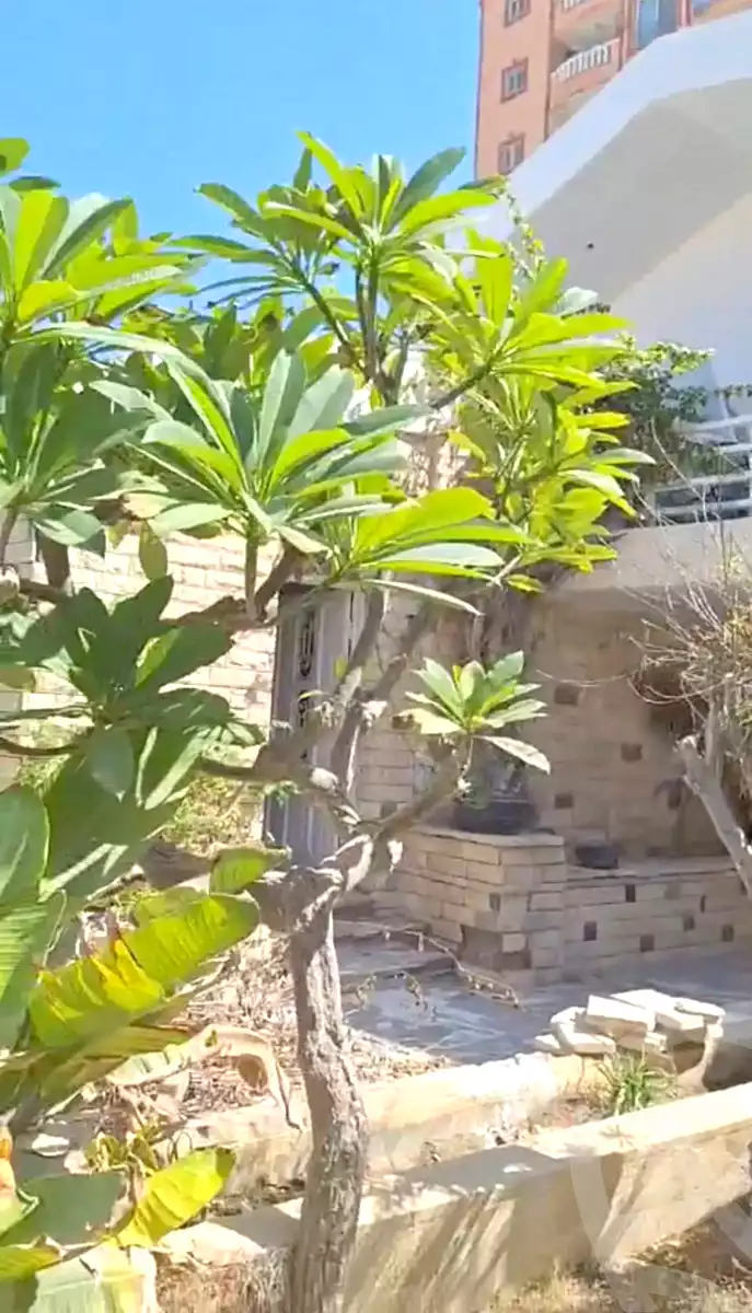 https://aqarmap.com.eg/en/listing/6975026-for-sale-alexandria-al-agamy-el-hanouvel