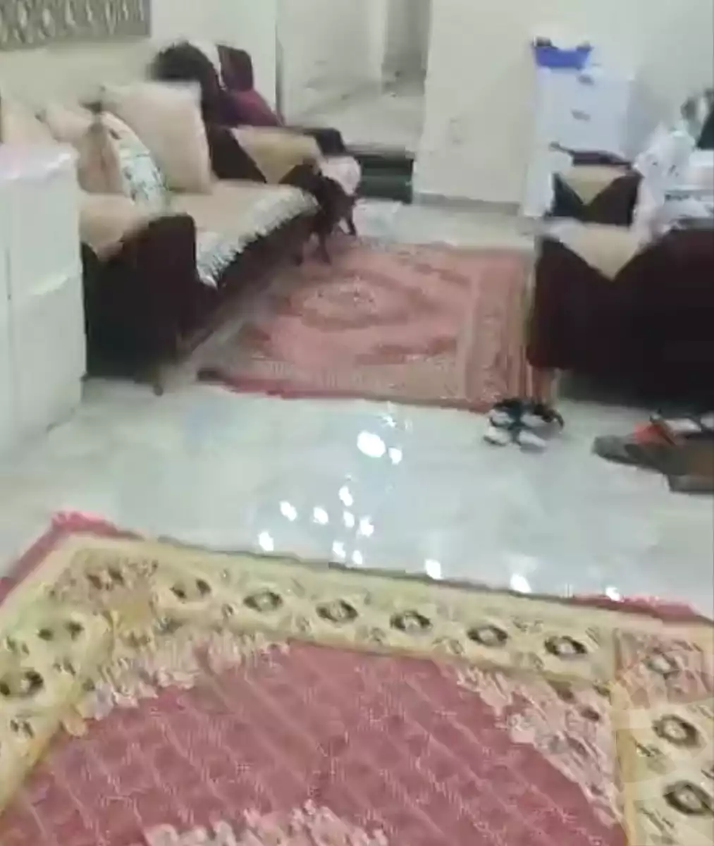 https://aqarmap.com.eg/ar/listing/6978221-for-sale-cairo-ain-shams-aman-st