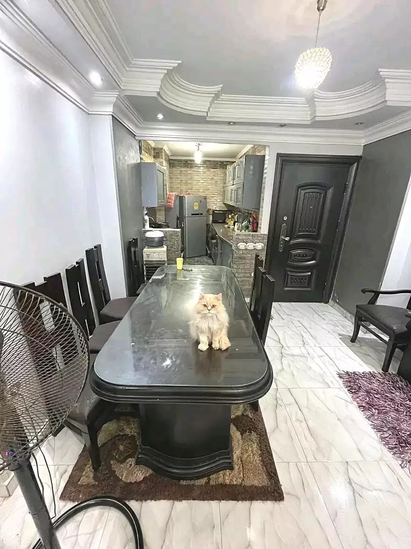 https://aqarmap.com.eg/ar/listing/6981685-for-sale-cairo-ain-shams-alf-maskn-ismail-el-fangari-st