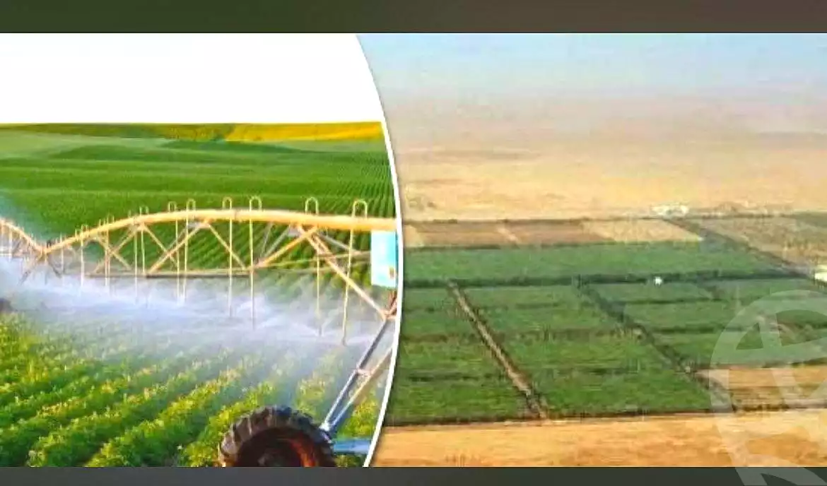 https://aqarmap.com.eg/en/listing/6982527-for-sale-new-valley-kharga-oasis-qret-el-sherka