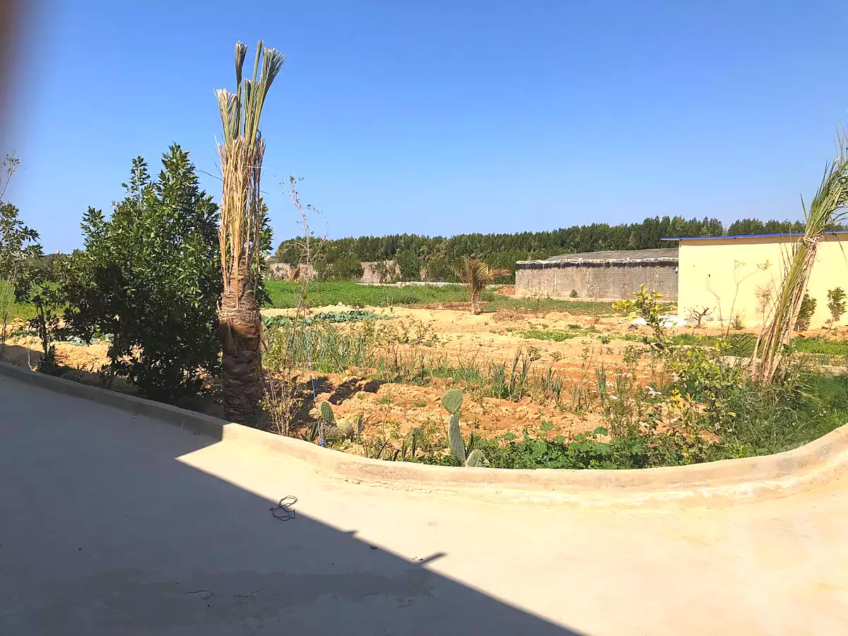 https://aqarmap.com.eg/ar/listing/6987017-for-sale-alexandria-borg-el-arab-el-zohour-st