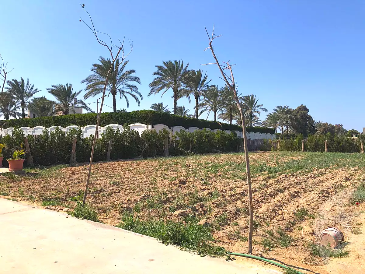 https://aqarmap.com.eg/ar/listing/6987017-for-sale-alexandria-borg-el-arab-el-zohour-st