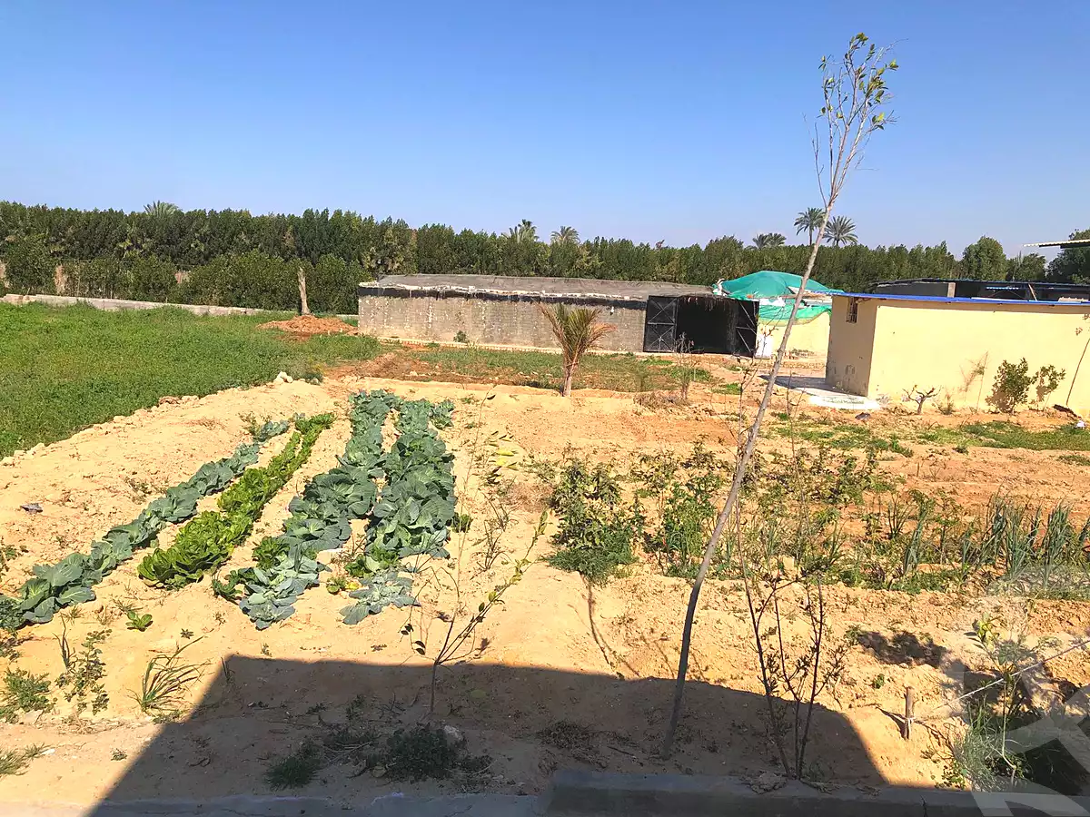 https://aqarmap.com.eg/ar/listing/6987017-for-sale-alexandria-borg-el-arab-el-zohour-st