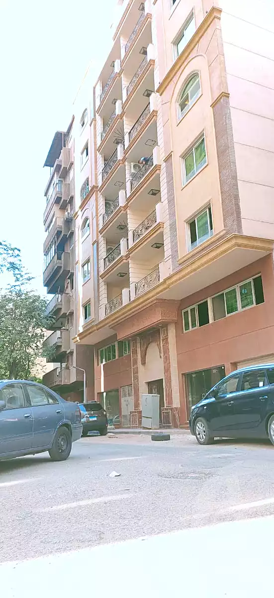 https://aqarmap.com.eg/en/listing/6987177-for-sale-cairo-dokki-mohey-el-din-abo-el-ezz