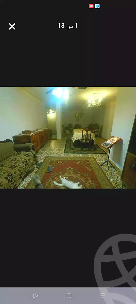 https://aqarmap.com.eg/en/listing/6987516-for-sale-alexandria-al-agamy-lbytsh-el-hay-st