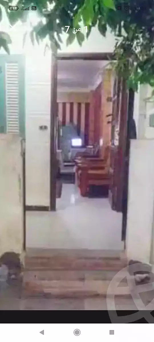 https://aqarmap.com.eg/ar/listing/6987848-for-rent-alexandria-al-agamy-shataa-el-nakheel-no-8-st