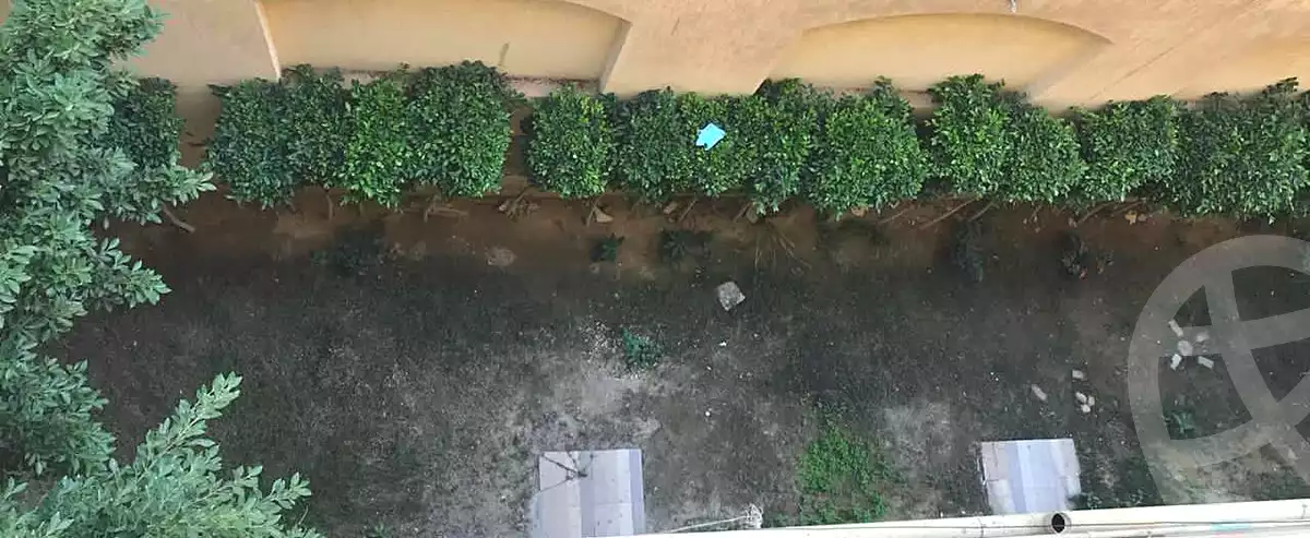 https://aqarmap.com.eg/en/listing/6989614-for-rent-cairo-new-cairo-el-ahyaa-second-neighborhood-street-79