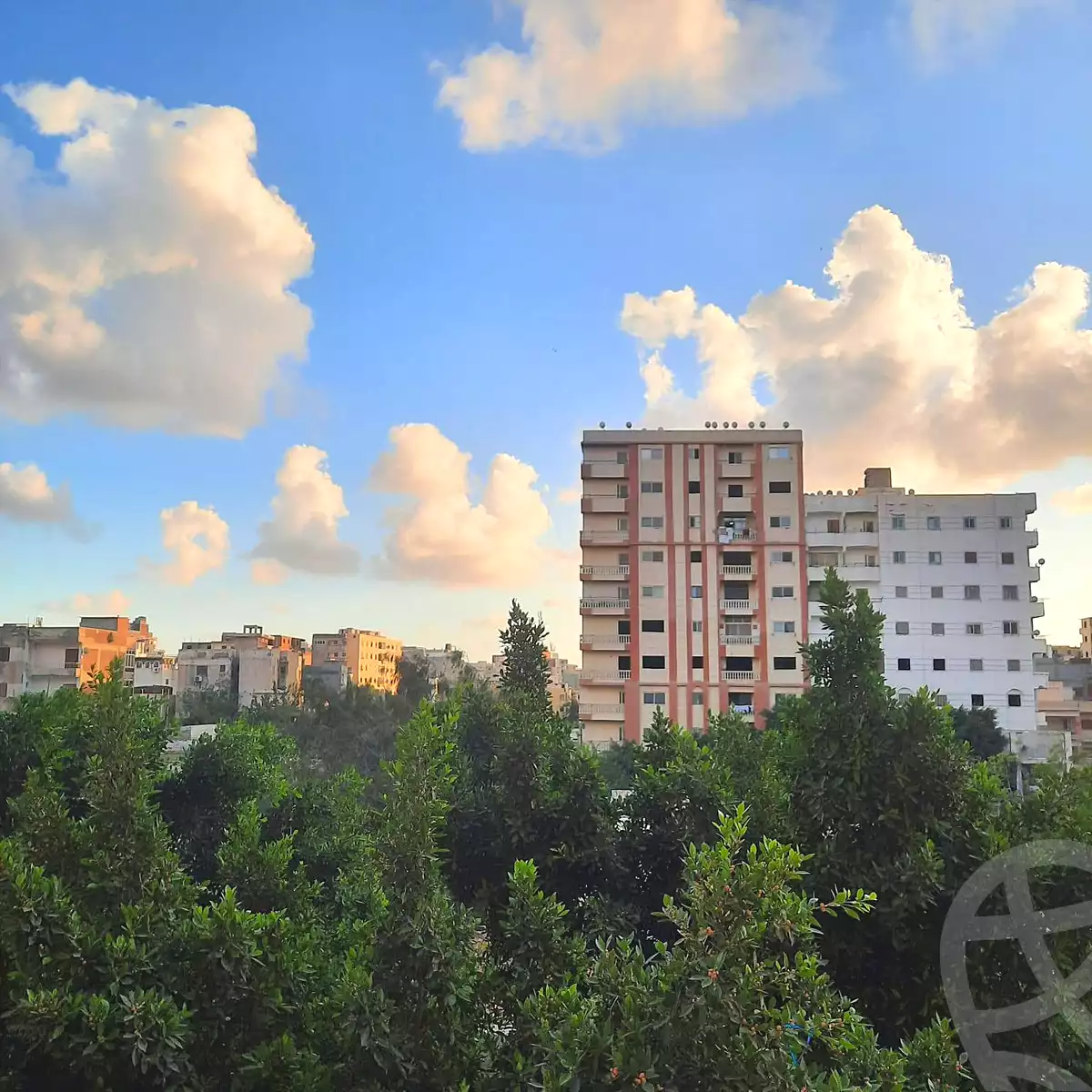 https://aqarmap.com.eg/ar/listing/6989753-for-sale-alexandria-al-agamy-el-hanouvel-al-asdakaa-st