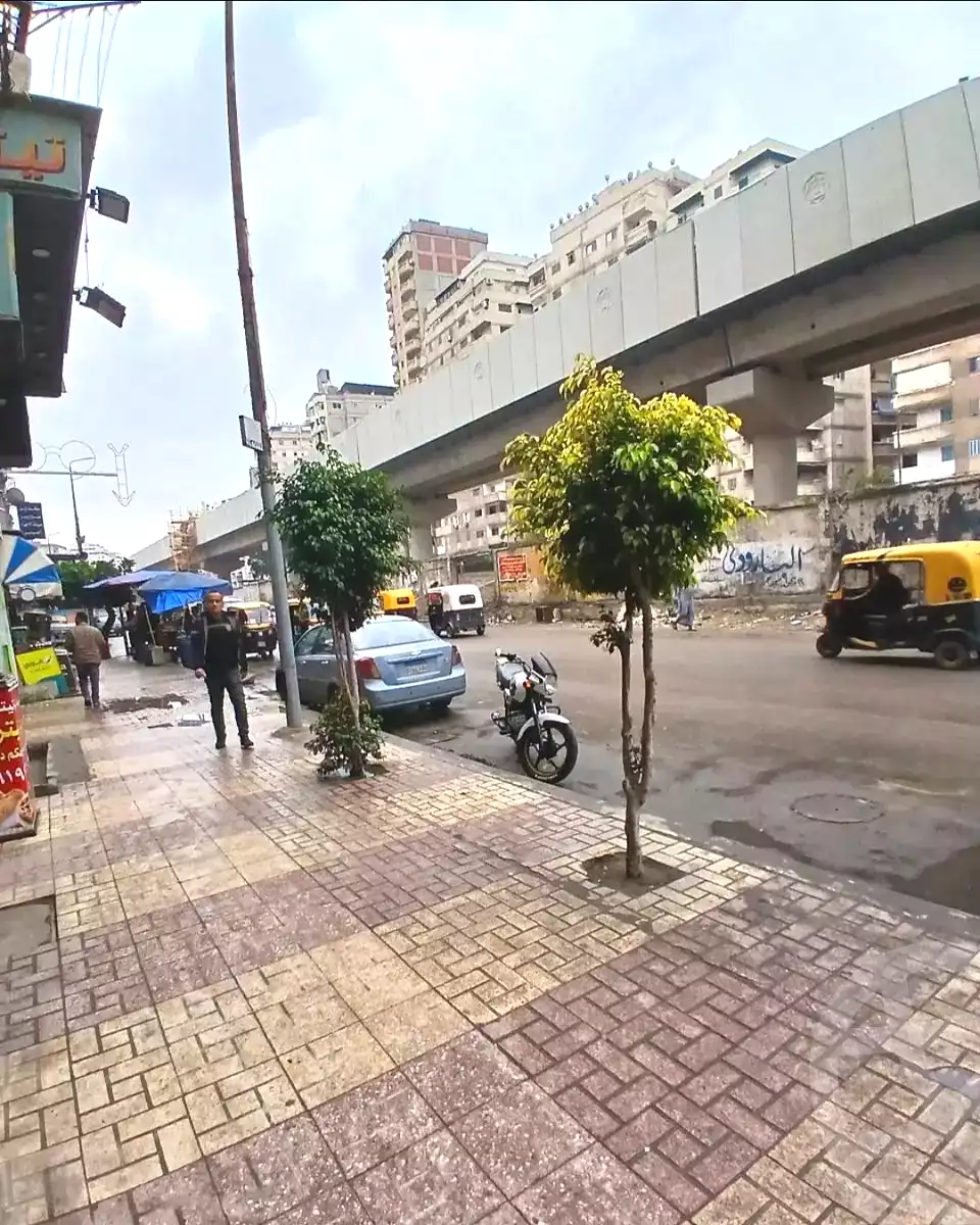 https://aqarmap.com.eg/en/listing/6990966-for-sale-alexandria-sydy-bshr-shr-mlk-hfny