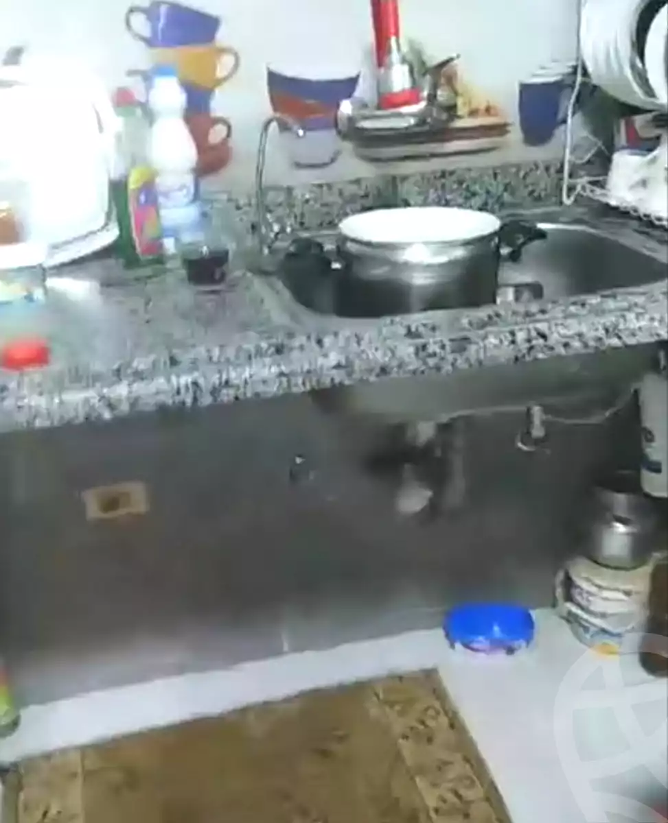 https://aqarmap.com.eg/ar/listing/6991199-for-sale-cairo-ain-shams-ain-shams-el-sharkia-shr-brhym-bd-lrzq
