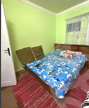 https://aqarmap.com.eg/en/listing/6992327-for-rent-cairo-el-haram-nasr-el-din